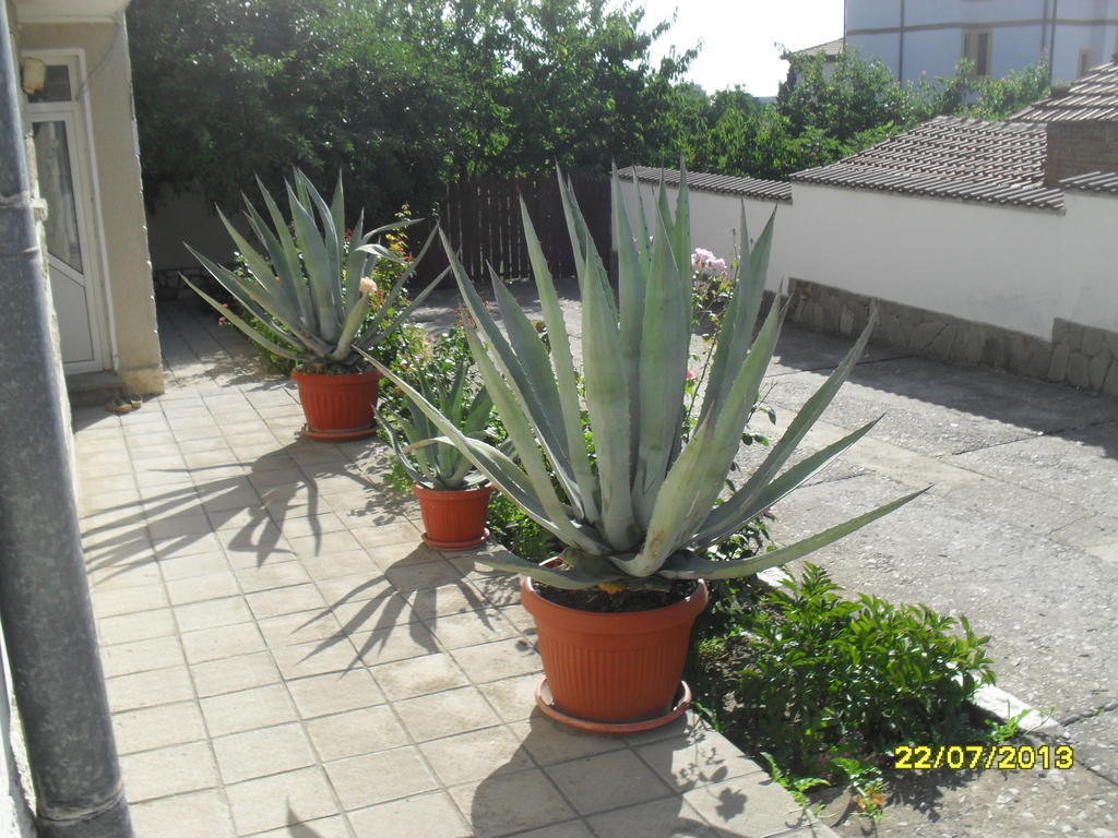 Panayotovi Guest House 比亚拉 外观 照片